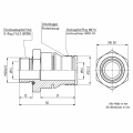 Bild 2 von VDS Einschraub Stecknippel 16-M20x1,5 NQ PS3